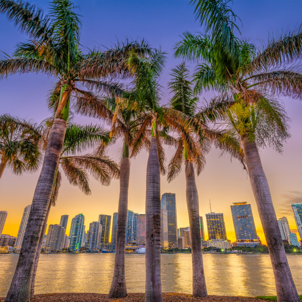 South Florida